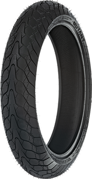 Dunlop Mutant 120/70ZR17 (58 W) Anteriore TL M+S