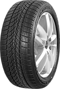 Dunlop SP Winter Sport 4D 285/30 R21 100 W XL, RO1, NST, MFS