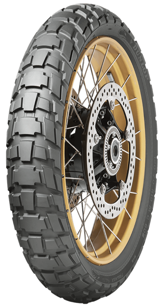 Dunlop Trailmax Raid 110/80 R19 59 T Anteriore TL M+S