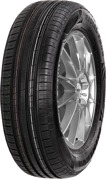 Minerva F209 195/55 R16 87 H