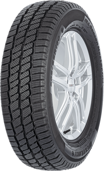 West Lake SW613 4S 205/65 R16 107/105 T C