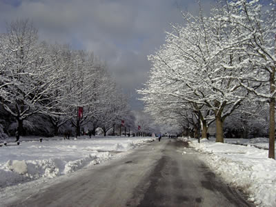 strada-d-inverno strada-d-inverno