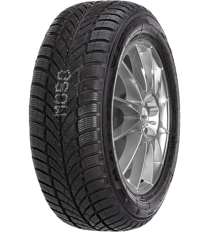 Maxxis WP-05 Arctictrekker 185/55 R14 80 H