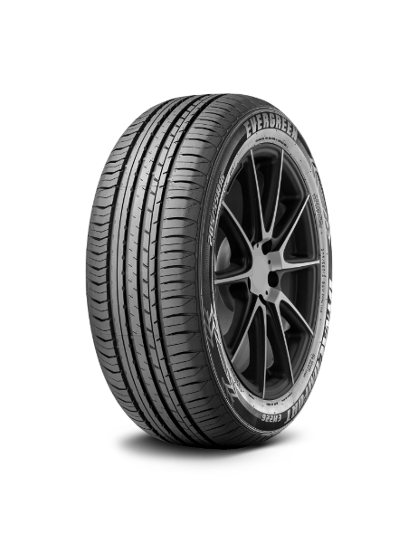 Evergreen DynaControl EH226 165/60 R14 75 H
