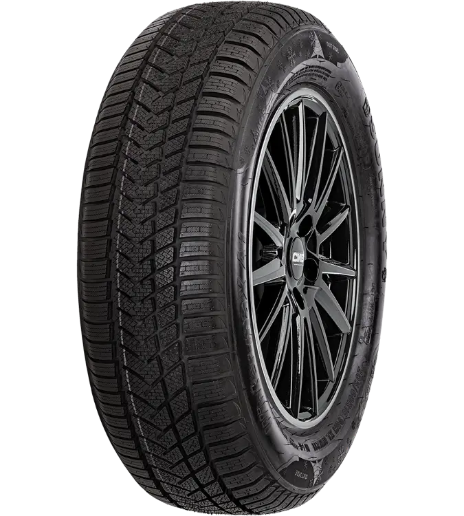 Sunny Wintermaxx NW211 215/65 R16 98 H
