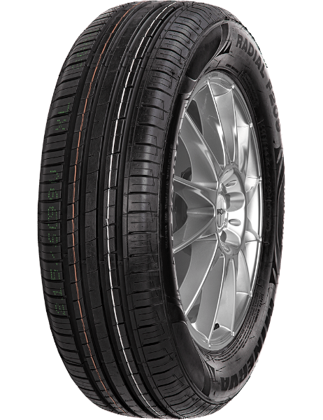 Minerva F209 225/55 R16 99 V XL