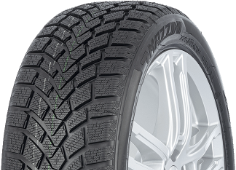 Mazzini Snow Leopard