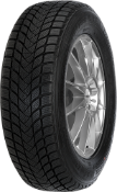 Primo piano del battistrada Mastersteel WINTER + 245/45 R18 100 H XL