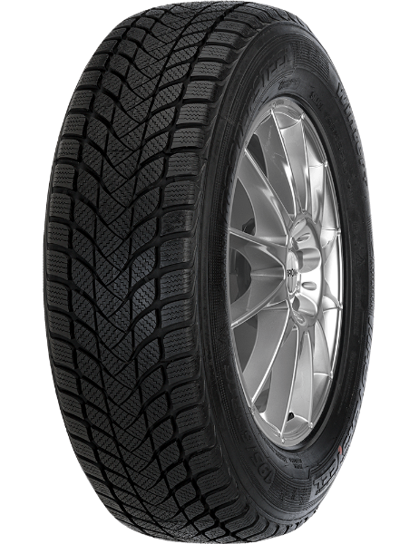 Mastersteel WINTER + 245/45 R18 100 H XL
